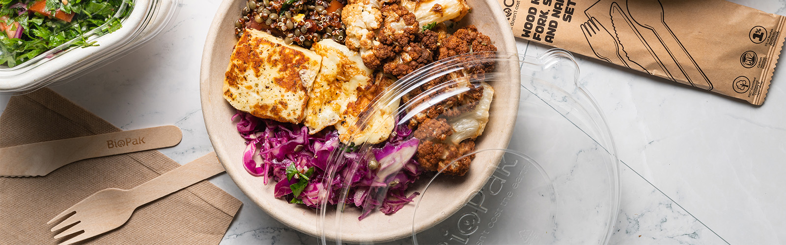 Benefits of Bagasse Packaging (Plant Fibre): Why Make The Switch?  